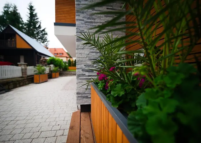 Bernardo Lux Lejlighed