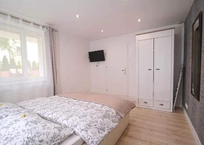 Bernardo Lux Karpacz