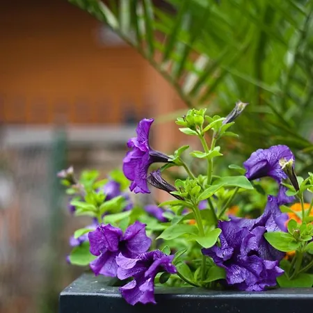 Bernardo Lux Karpacz