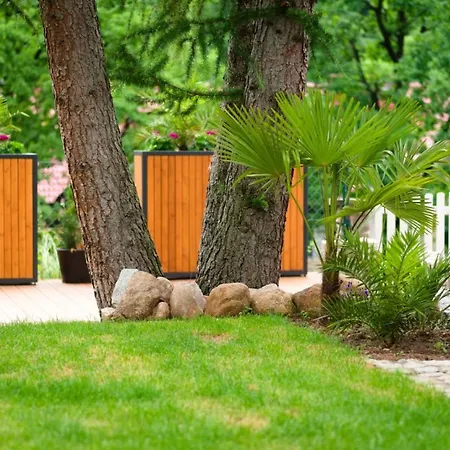 Bernardo Lux Appartamento