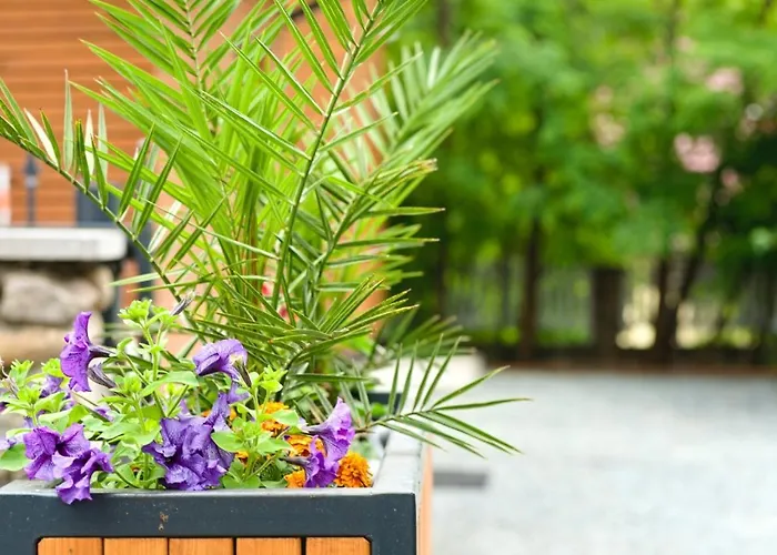 Bernardo Lux Apartment *